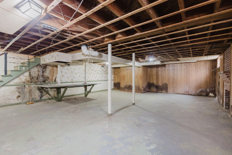 Listing Image 49