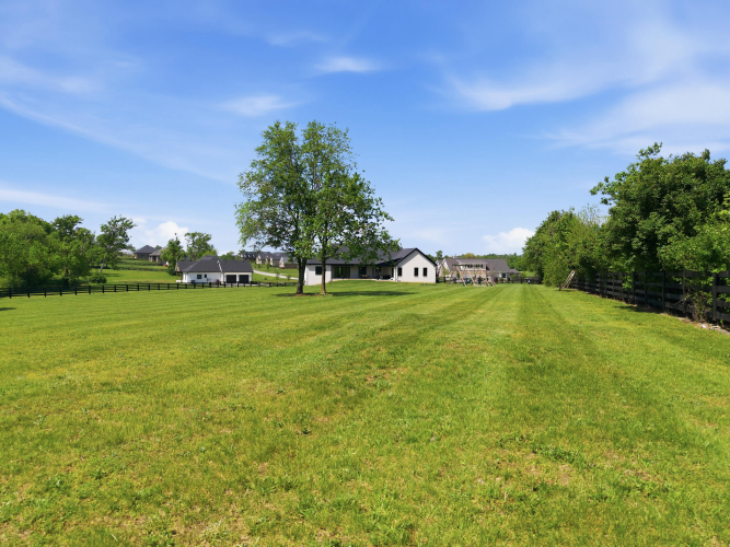 Listing Image 52