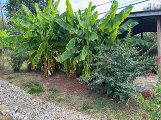 Listing Image 46