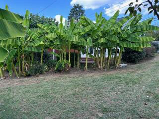 Listing Image 48