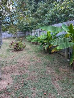 Listing Image 49