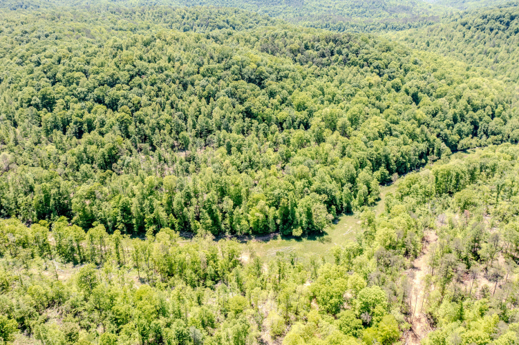 Listing Image 17
