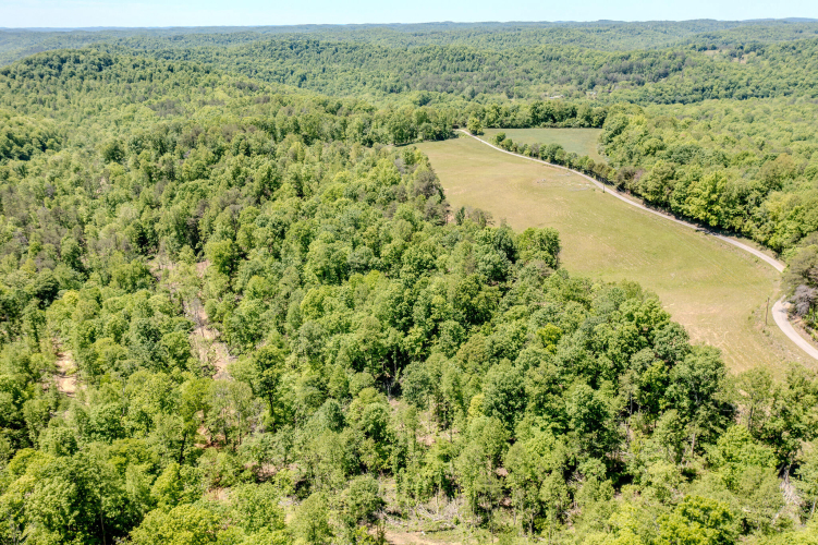 Listing Image 23