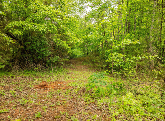 Listing Image 39