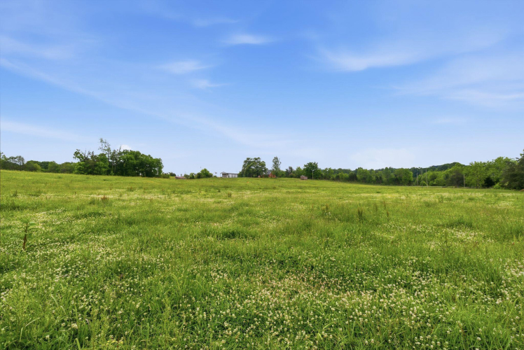 Listing Image 55