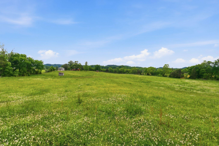 Listing Image 56