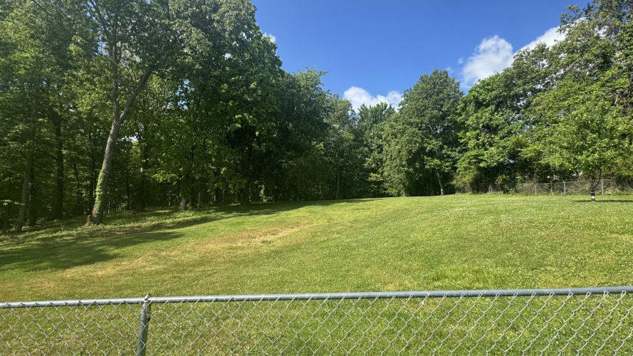 Listing Image 29