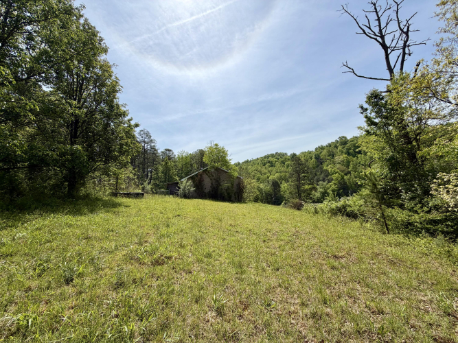 Listing Image 21