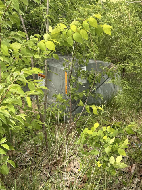 Listing Image 14