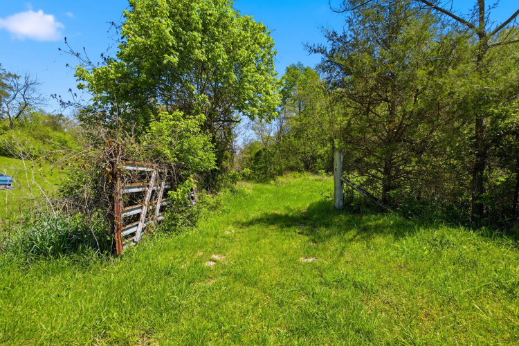 Listing Image 64