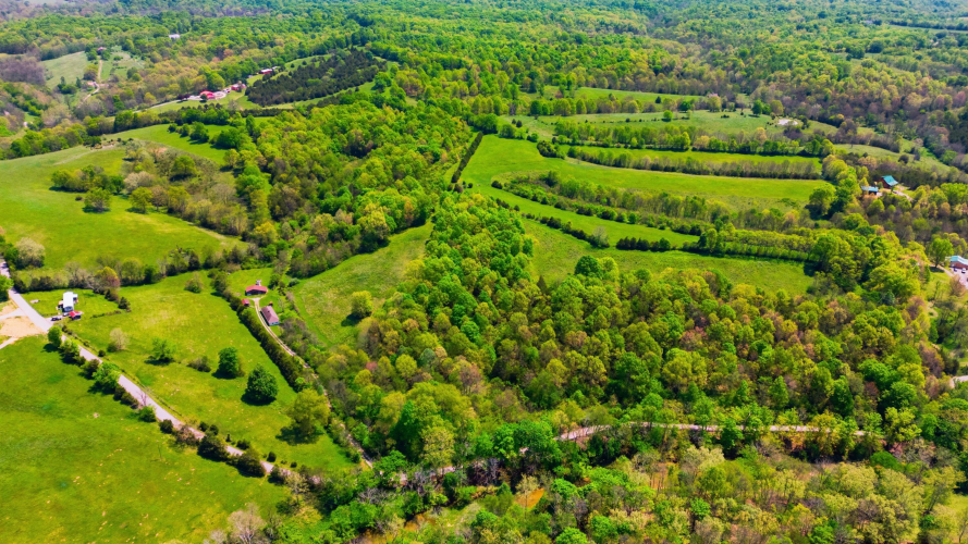 Listing Image 66
