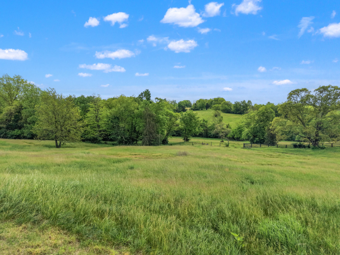 Listing Image 73