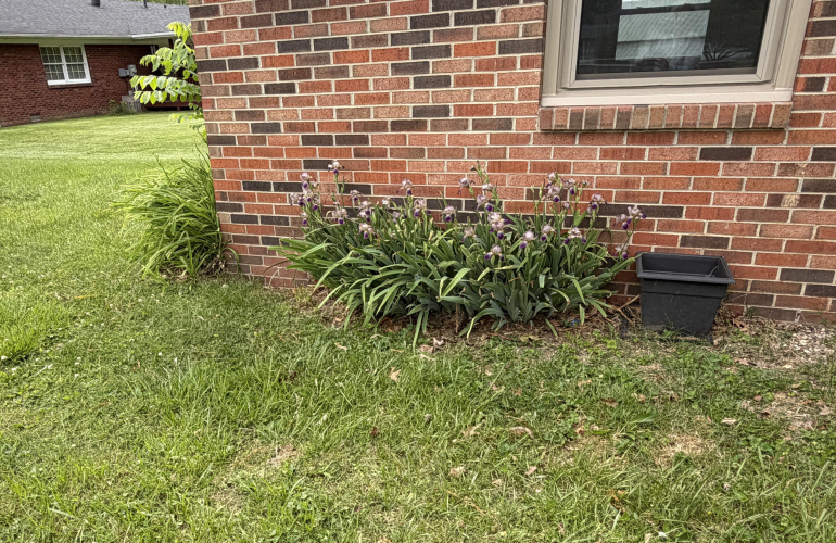 Listing Image 81