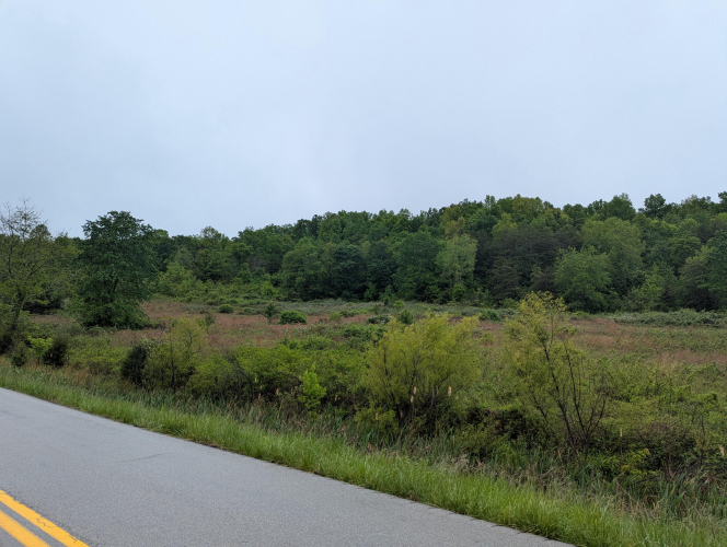 Listing Image 24