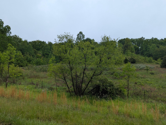Listing Image 26