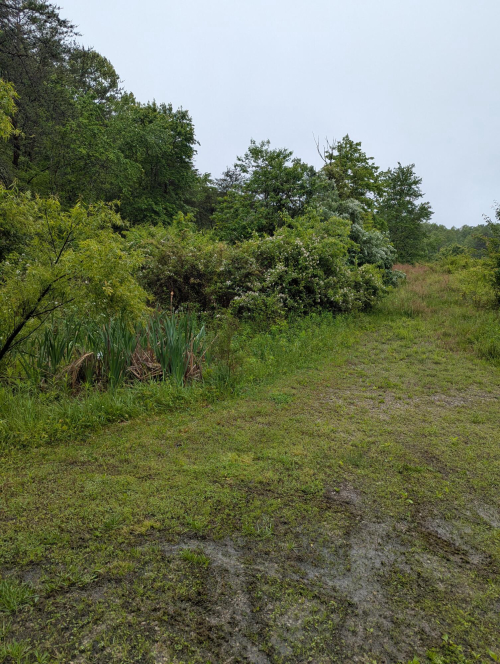 Listing Image 29