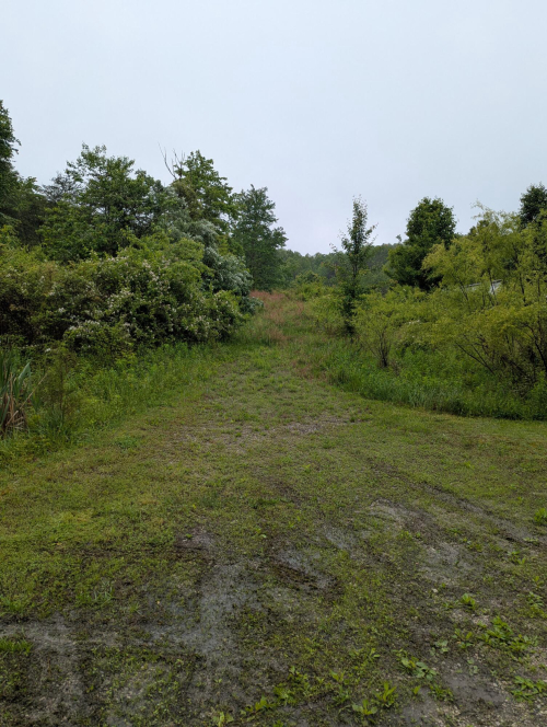 Listing Image 30