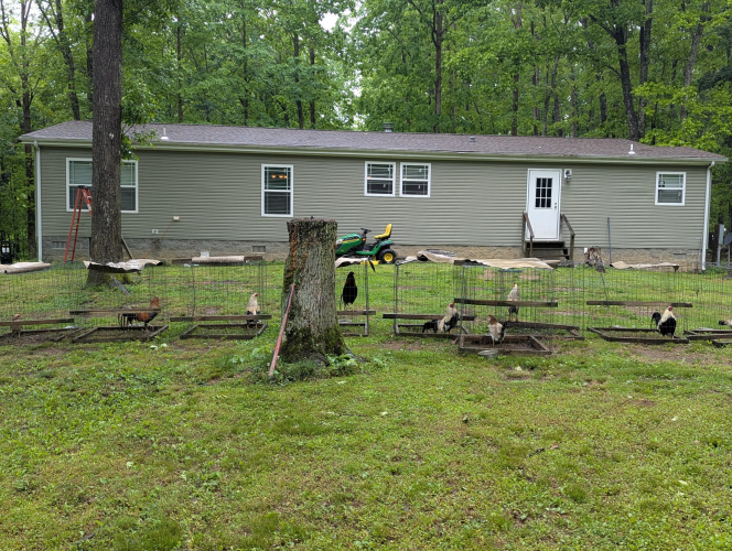 Listing Image 34