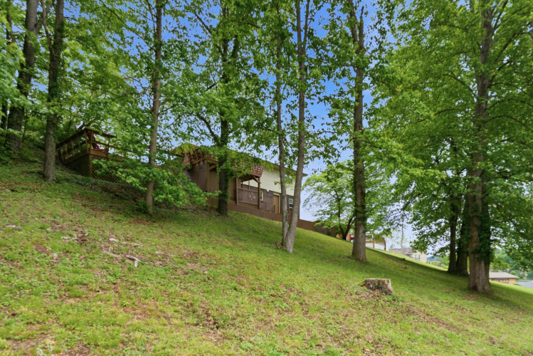Listing Image 33