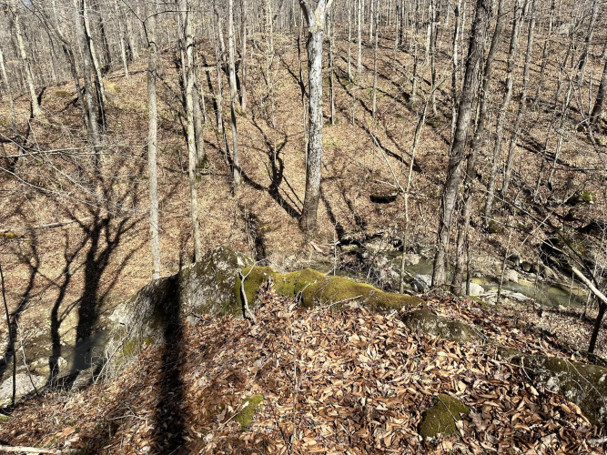 Listing Image 33