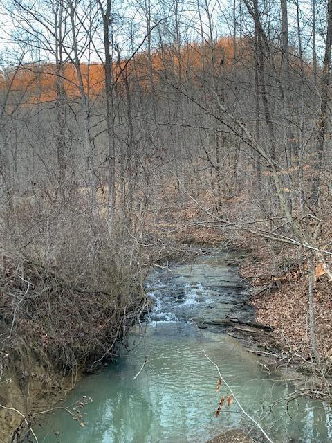Listing Image 42