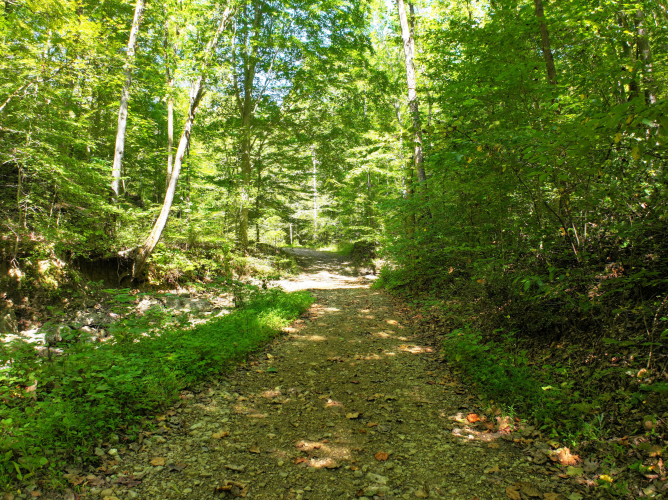Listing Image 53