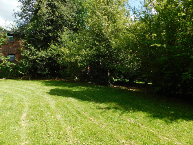 Listing Image 114