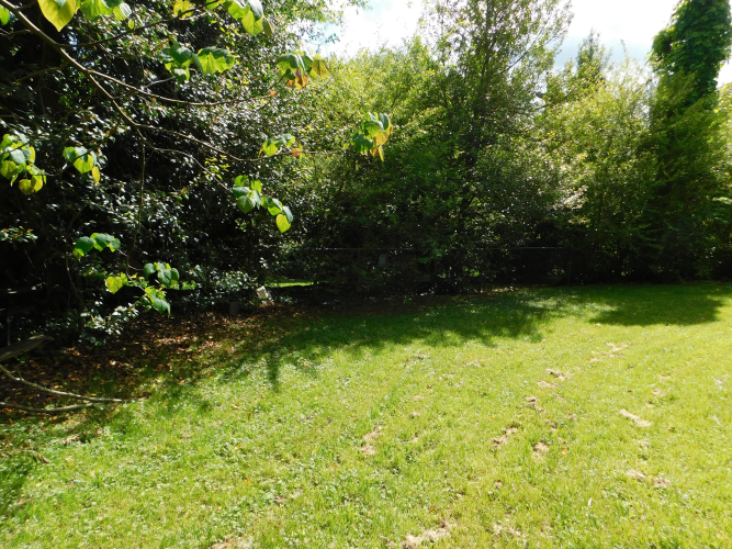 Listing Image 115