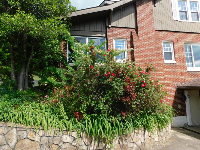 Listing Image 120