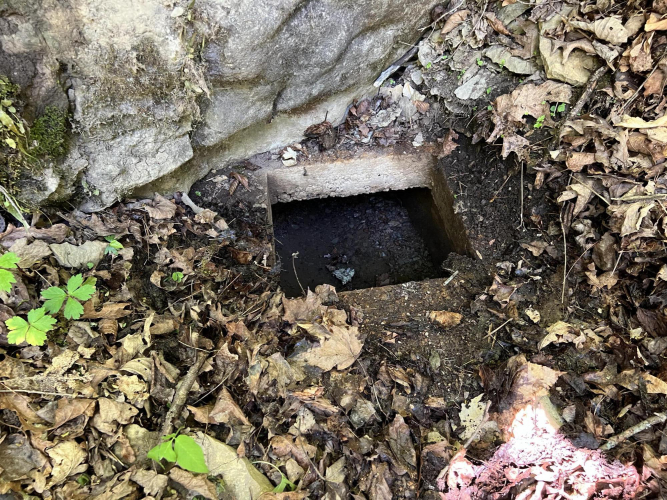 Listing Image 18