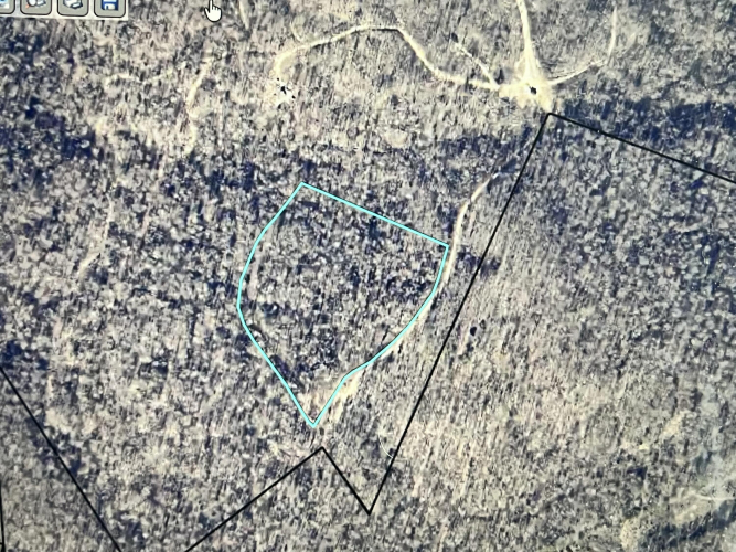 Listing Image 8
