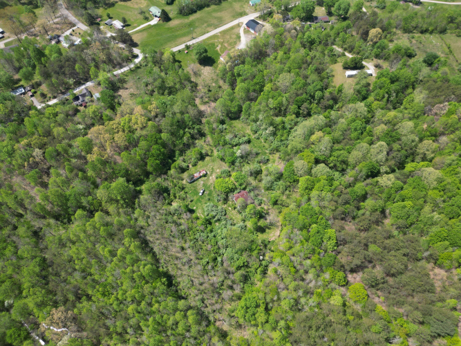 Listing Image 16