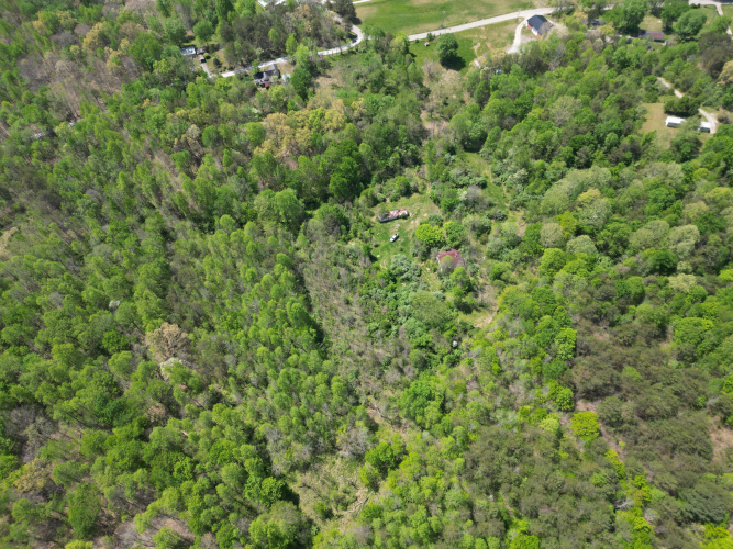 Listing Image 17
