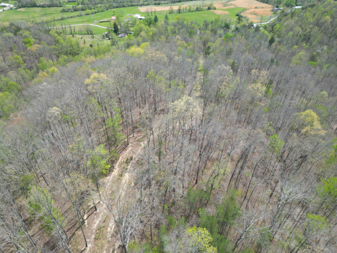 Listing Image 10