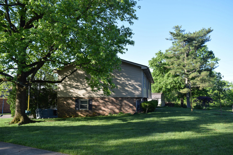 Listing Image 29