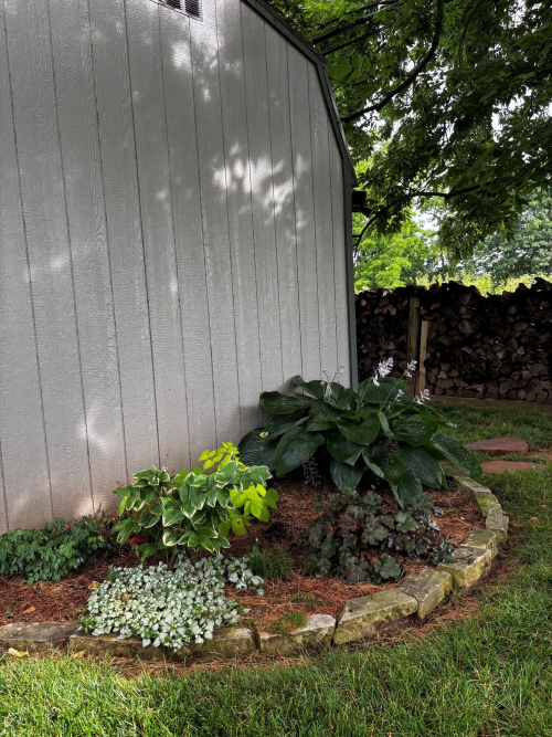 Listing Image 41