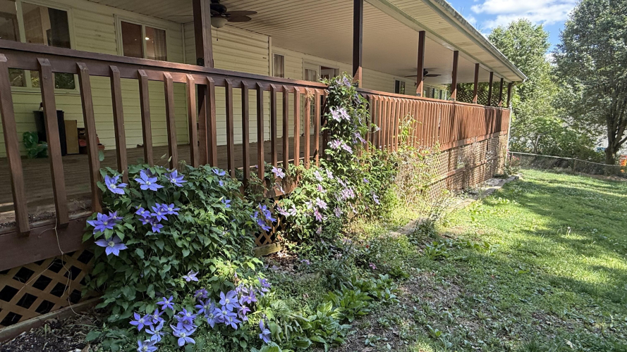 Listing Image 60