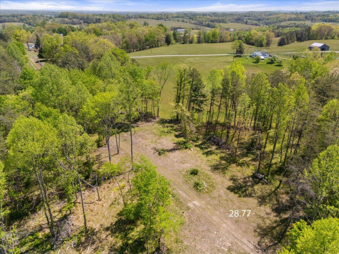 Listing Image 14
