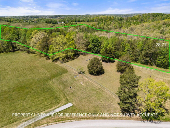 Listing Image 10