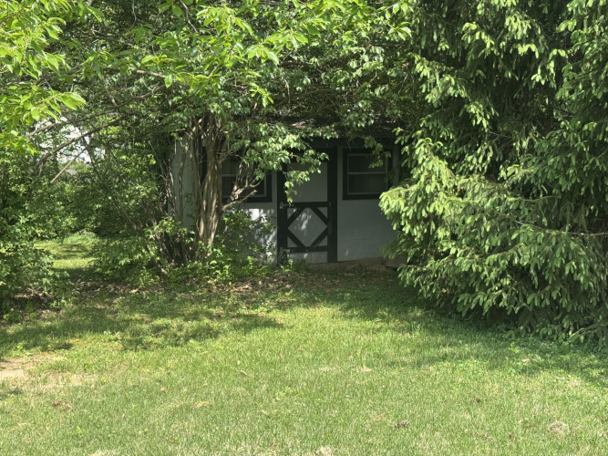 Listing Image 64