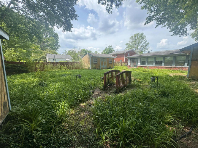 Listing Image 61