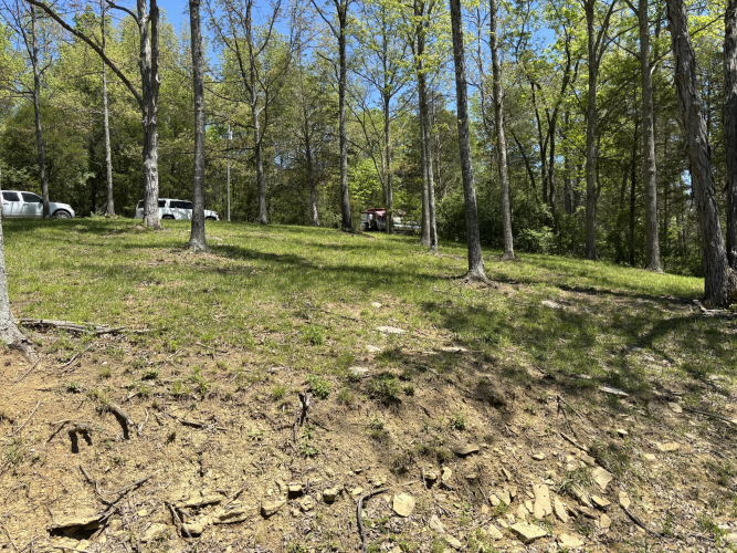 Listing Image 23