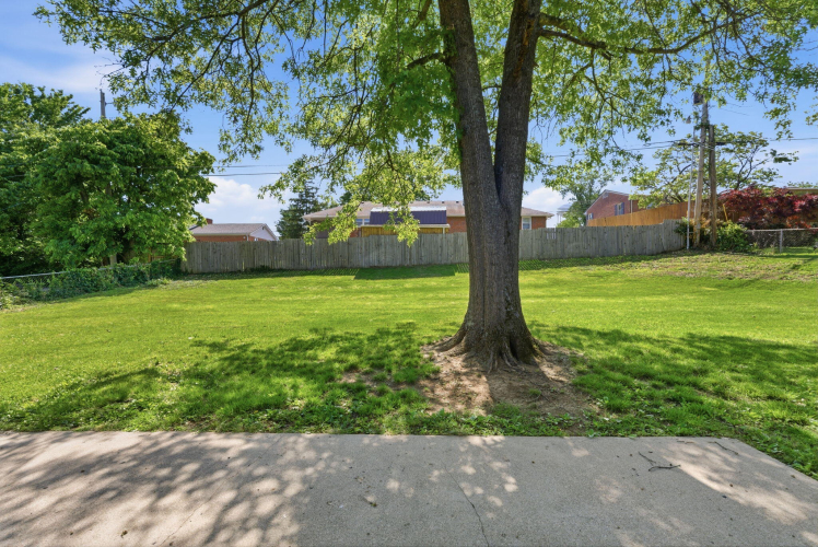 Listing Image 29