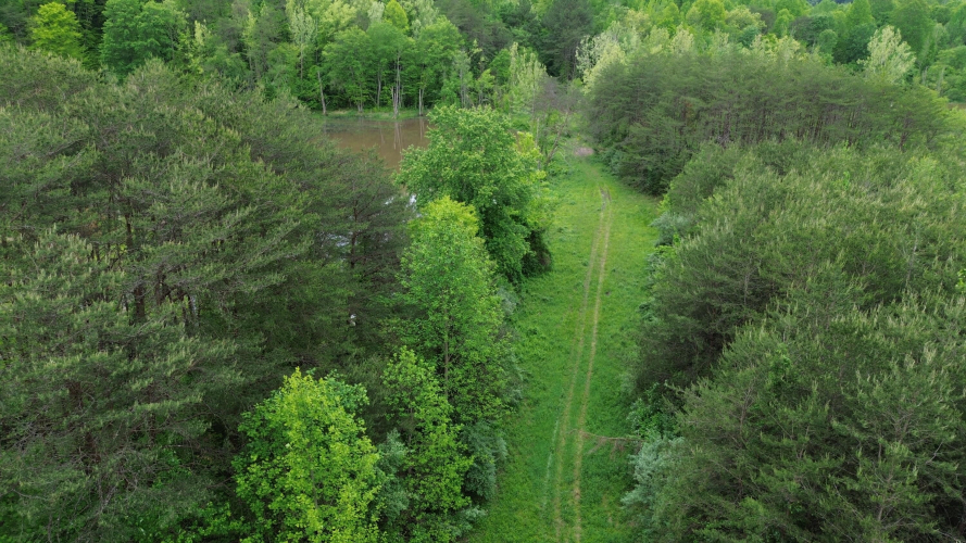 Listing Image 8