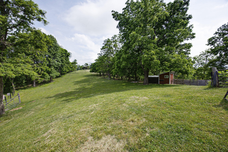 Listing Image 42