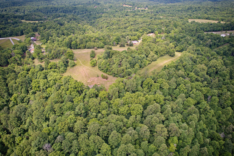 Listing Image 43