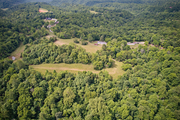 Listing Image 45