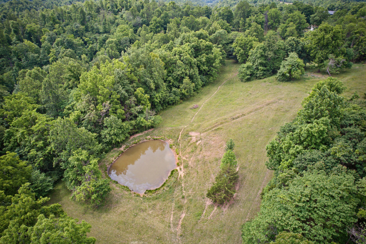 Listing Image 46