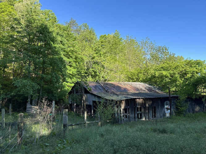 Listing Image 12