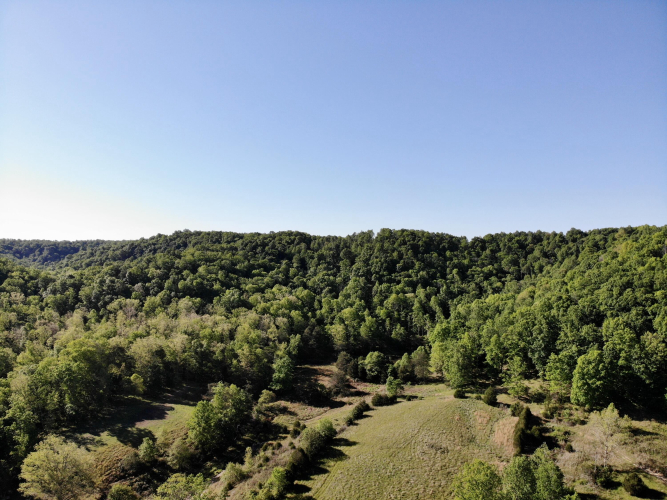 Listing Image 16